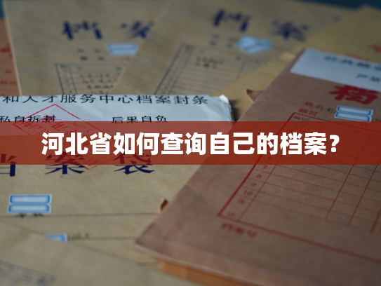 河北省如何查询自己的档案？