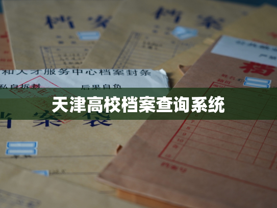 天津高校档案查询系统