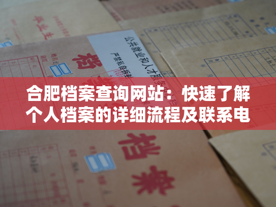 合肥档案查询网站：快速了解个人档案的详细流程及联系电话