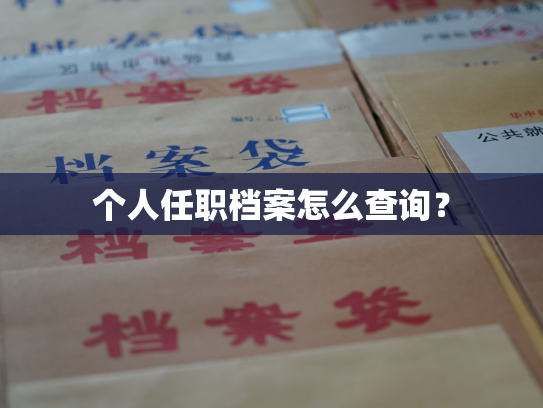 个人任职档案怎么查询？