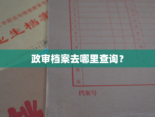 政审档案去哪里查询？