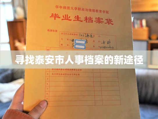 寻找泰安市人事档案的新途径
