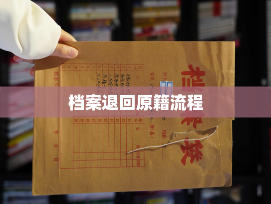 档案退回原籍流程
