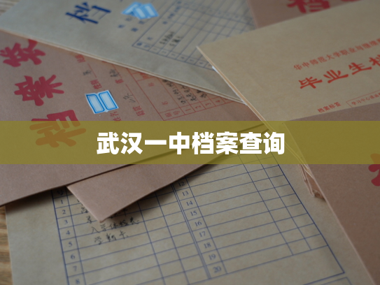 武汉一中档案查询