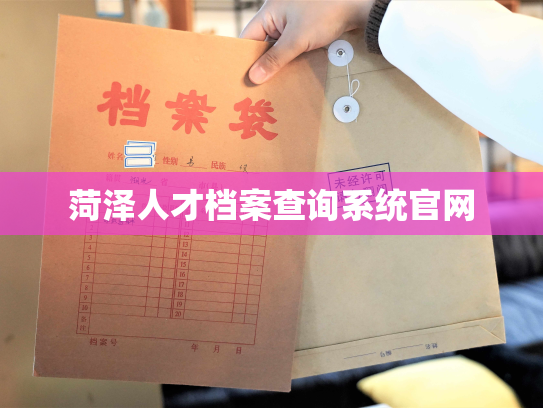 菏泽人才档案查询系统官网