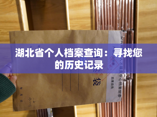 湖北省个人档案查询：寻找您的历史记录