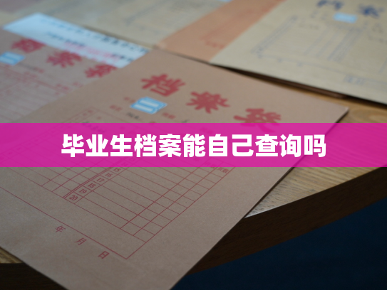 毕业生档案能自己查询吗