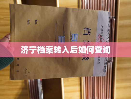 济宁档案转入后如何查询