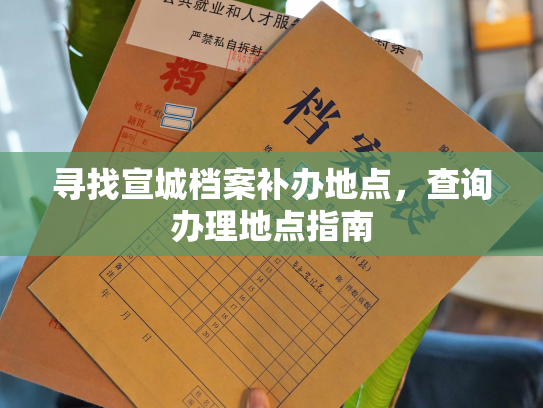 寻找宣城档案补办地点，查询办理地点指南
