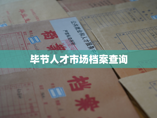 毕节人才市场档案查询