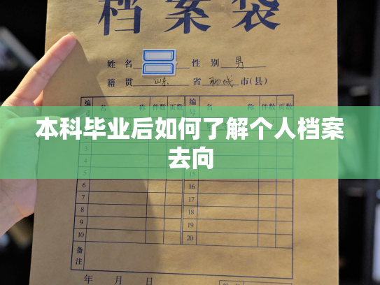 本科毕业后如何了解个人档案去向