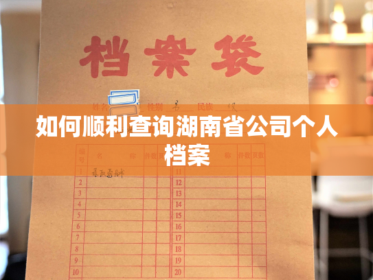 如何顺利查询湖南省公司个人档案