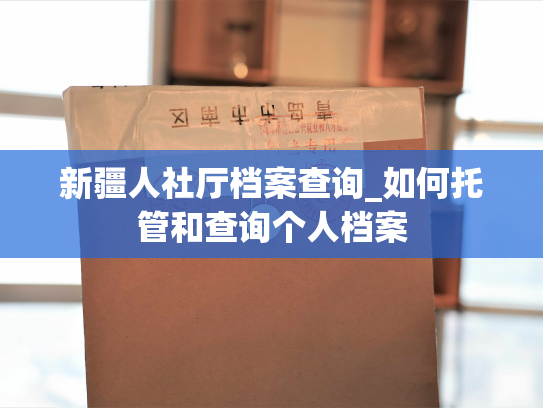 新疆人社厅档案查询_如何托管和查询个人档案