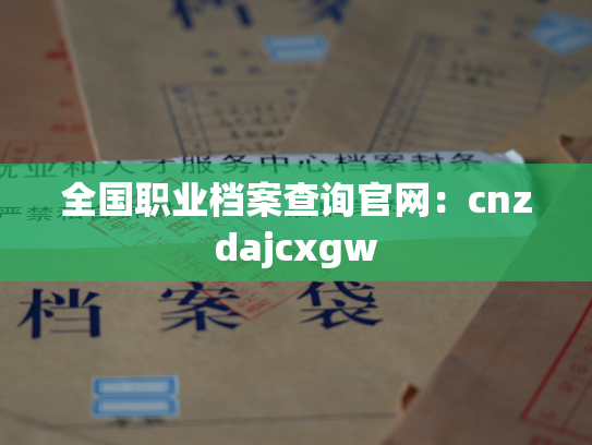 全国职业档案查询官网：cnzdajcxgw