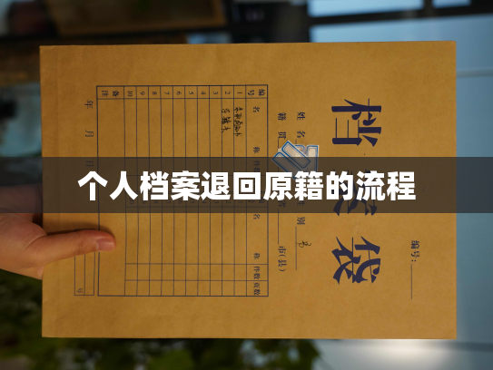 个人档案退回原籍的流程