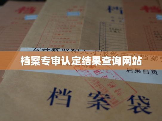 档案专审认定结果查询网站