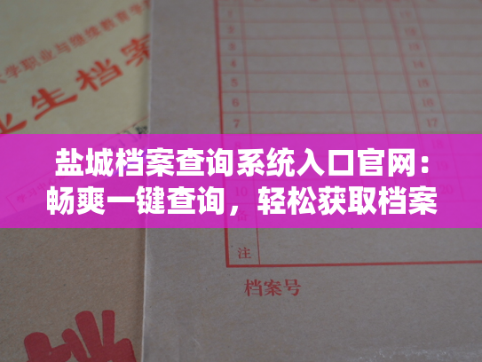 盐城档案查询系统入口官网：畅爽一键查询，轻松获取档案资料