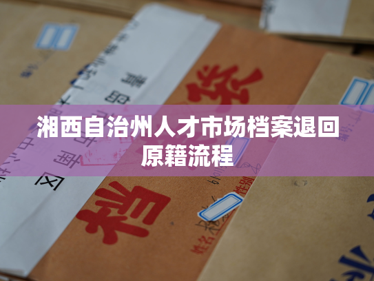 湘西自治州人才市场档案退回原籍流程