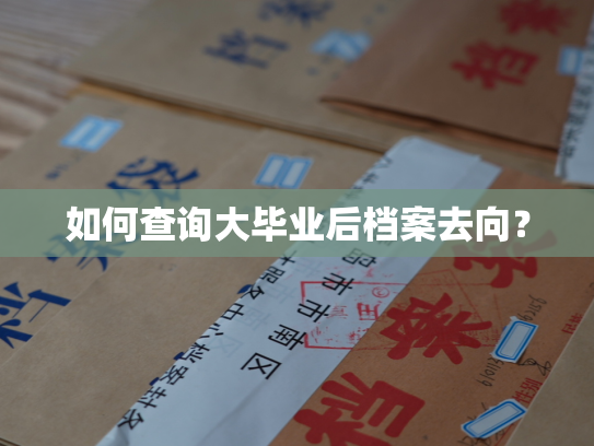 如何查询大毕业后档案去向？