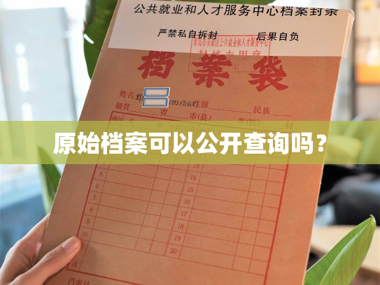原始档案可以公开查询吗？