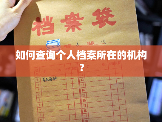 如何查询个人档案所在的机构？