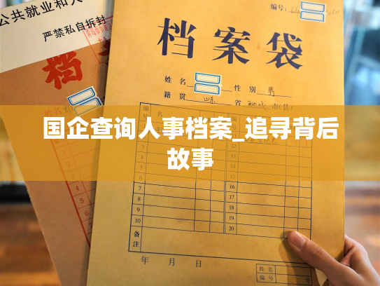 国企查询人事档案_追寻背后故事