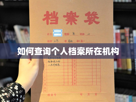如何查询个人档案所在机构