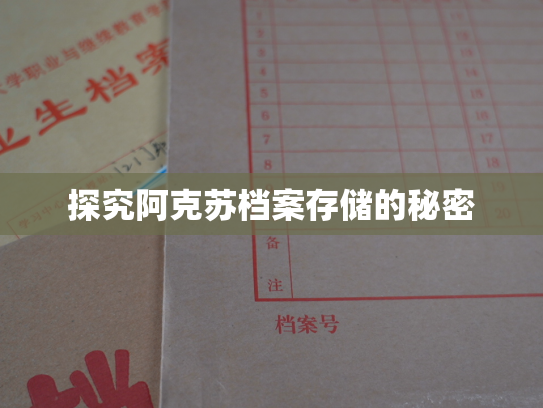 探究阿克苏档案存储的秘密