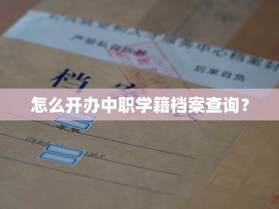 怎么开办中职学籍档案查询？