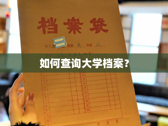 如何查询大学档案？