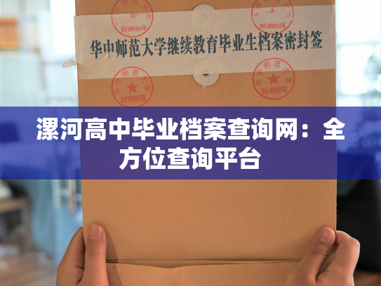 漯河高中毕业档案查询网：全方位查询平台