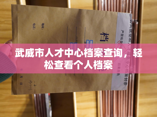 武威市人才中心档案查询，轻松查看个人档案