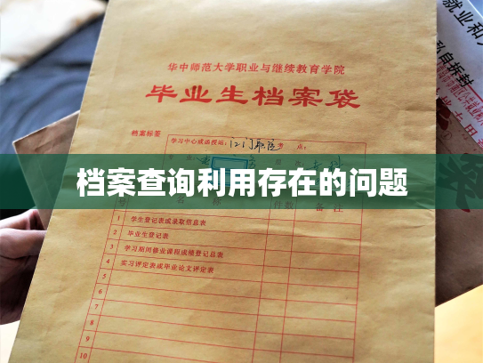 档案查询利用存在的问题