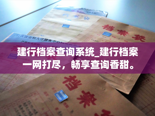 建行档案查询系统_建行档案一网打尽，畅享查询香甜。