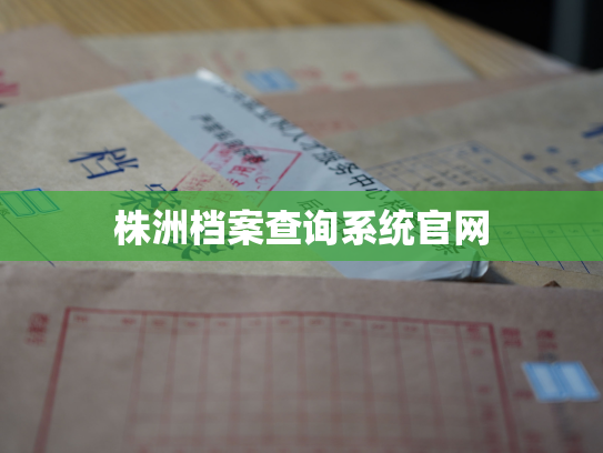 株洲档案查询系统官网