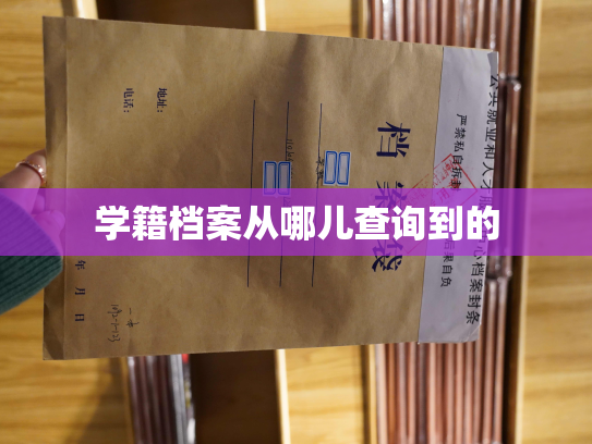 学籍档案从哪儿查询到的