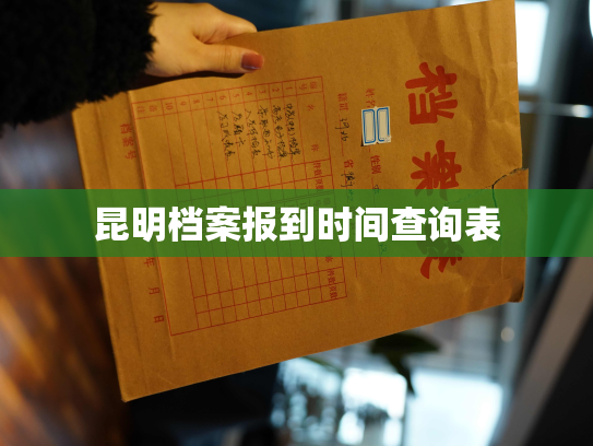 昆明档案报到时间查询表
