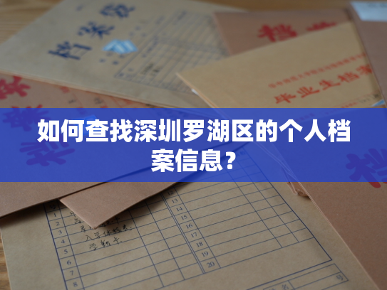如何查找深圳罗湖区的个人档案信息？