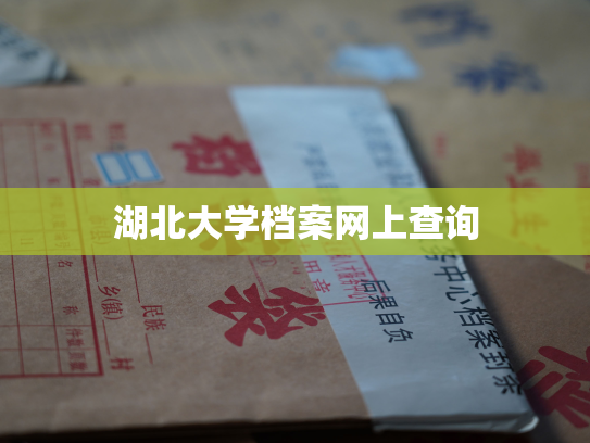 湖北大学档案网上查询