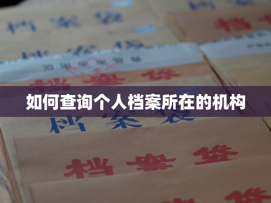 如何查询个人档案所在的机构
