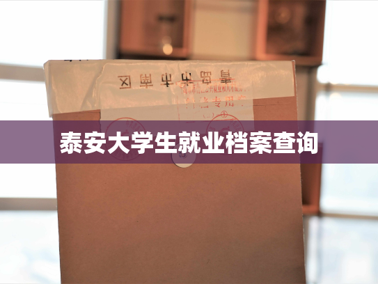 泰安大学生就业档案查询