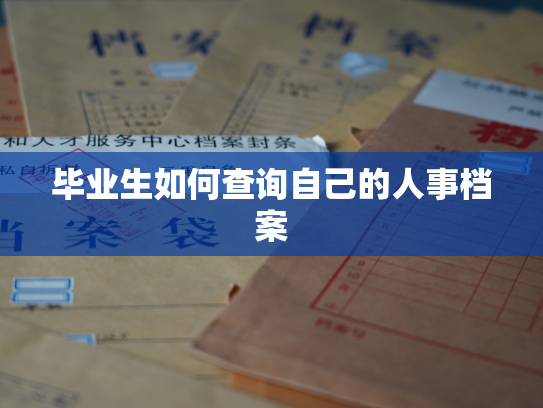 毕业生如何查询自己的人事档案