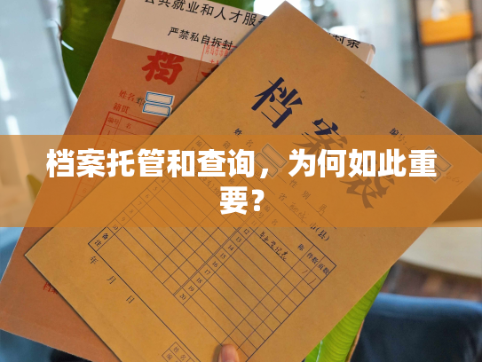 档案托管和查询，为何如此重要？