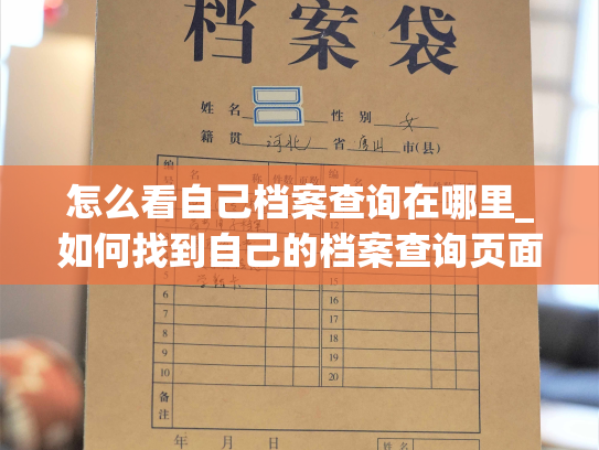 怎么看自己档案查询在哪里_如何找到自己的档案查询页面？
