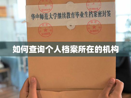 如何查询个人档案所在的机构