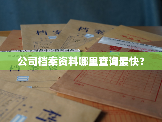 公司档案资料哪里查询最快？