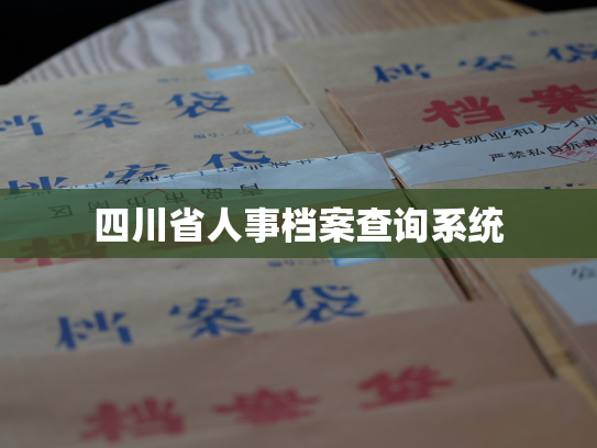 四川省人事档案查询系统