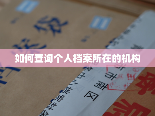 如何查询个人档案所在的机构