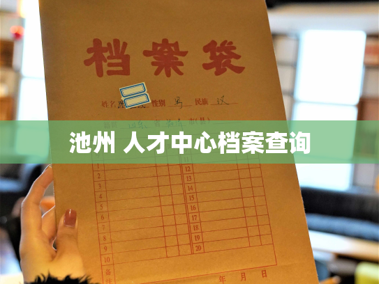 池州 人才中心档案查询