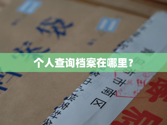 个人查询档案在哪里？